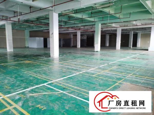  重工业福音东坑原房东红本厂房全新装修可做电子灯饰五金