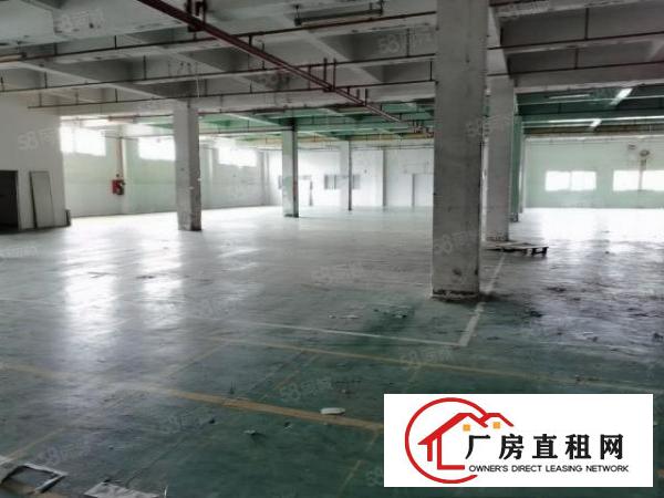  重工业福音东坑原房东红本厂房全新装修可做电子灯饰五金