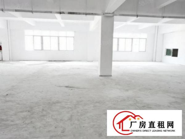  房东直租东坑全新装修红本小面积厂房证件齐全可办环评