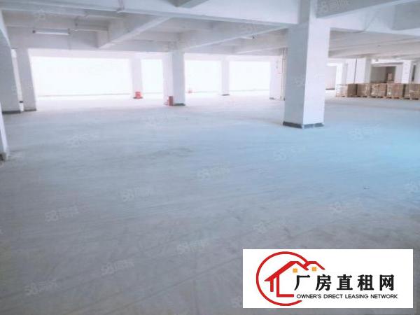  房东直租东坑全新装修红本小面积厂房证件齐全可办环评
