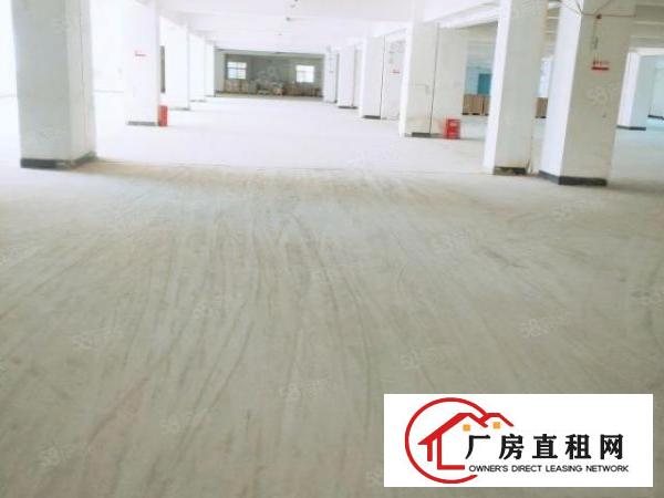  房东直租东坑全新装修红本小面积厂房证件齐全可办环评