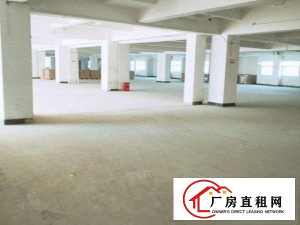  房东直租东坑全新装修红本小面积厂房证件齐全可办环评