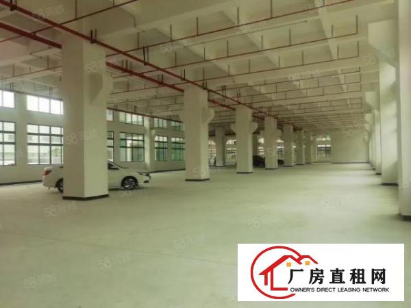  东坑原房东独院厂房总面积8800平方