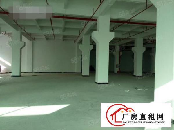  东坑原房东标准厂房分租一楼1200平方出租
