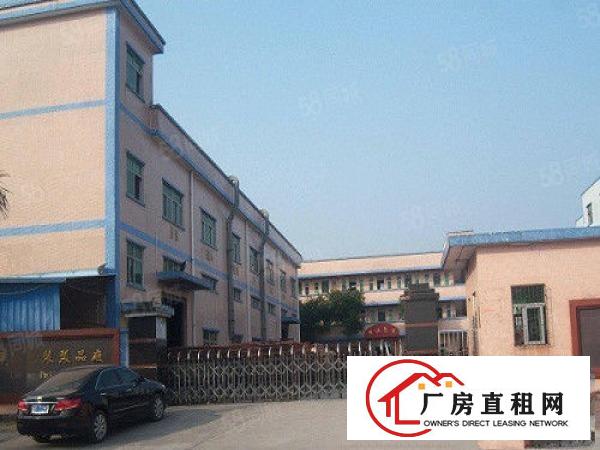  东坑原房东标准厂房分租一楼1200平方出租