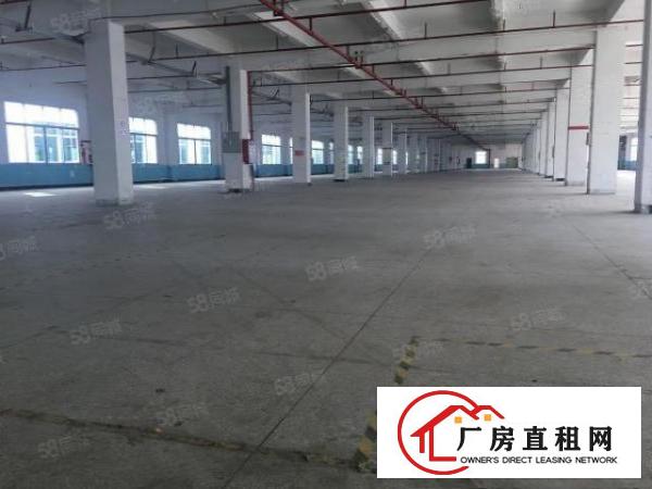  （可分租）东坑镇原房东独院厂房出租面积实量证件齐全