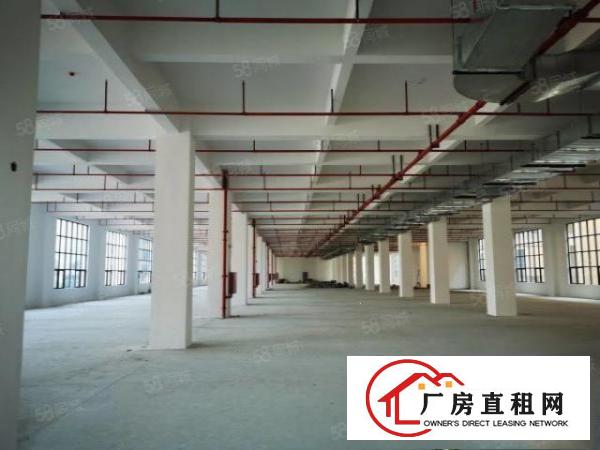  东坑红本厂房出租一楼4000平方楼7米高工业用地丙二类消防
