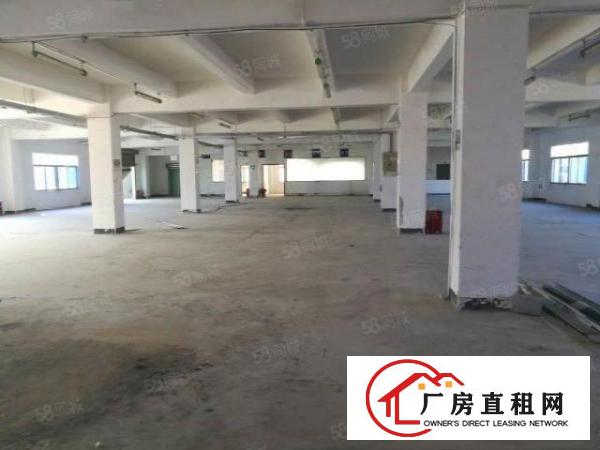  东坑镇花园式独门独院三层厂房5200平米出租