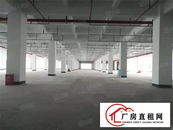  东坑镇工业区标准厂房空出一楼二楼各2300平方米