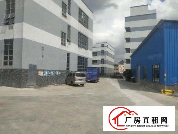  原房东独门独院标准厂房13F3600平方出租