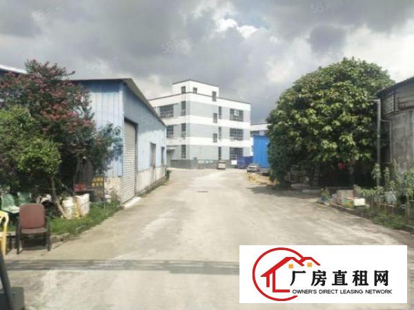  原房东独门独院标准厂房13F3600平方出租