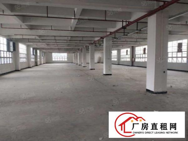  原房东独门独院标准厂房13F3600平方出租