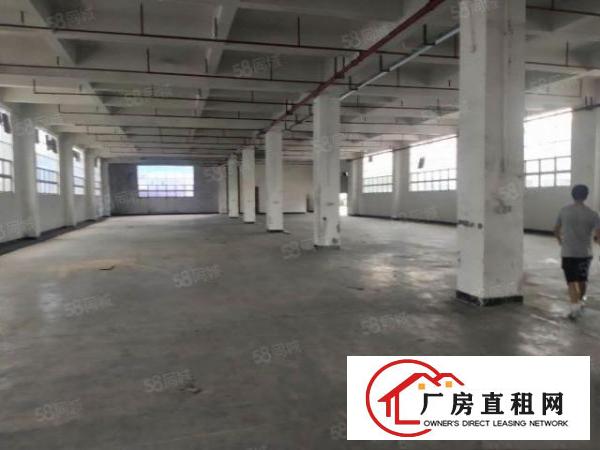  原房东独门独院标准厂房13F3600平方出租