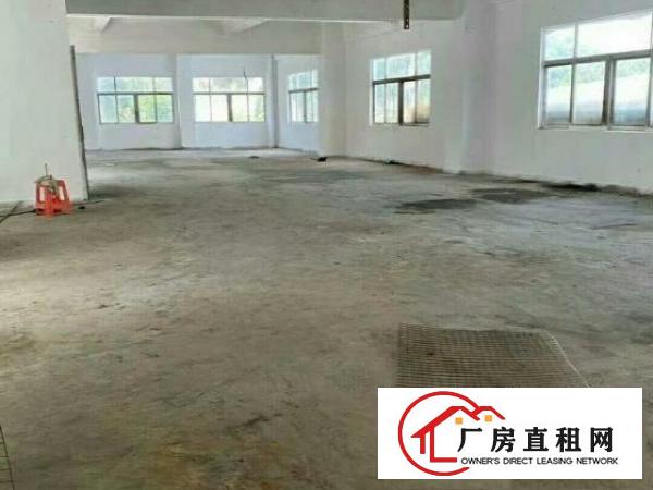  近松山湖独门独院厂房