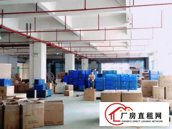  精装修，东坑二楼2000平方，水电齐全，带消防喷淋，三吨货梯
