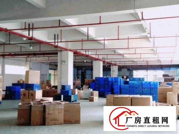  精装修，东坑二楼2000平方，水电齐全，带消防喷淋，三吨货梯