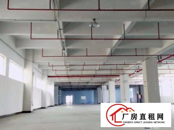  东莞市东坑镇原房东高新产业园出租楼上现成精装修办公室厂房出租