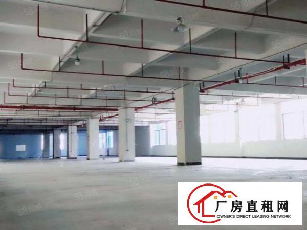  东莞市东坑镇原房东高新产业园出租楼上现成精装修办公室厂房出租