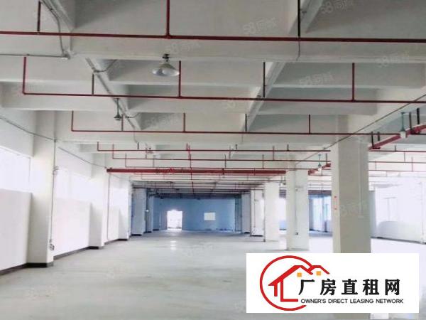  东莞市东坑镇原房东高新产业园出租楼上现成精装修办公室厂房出租