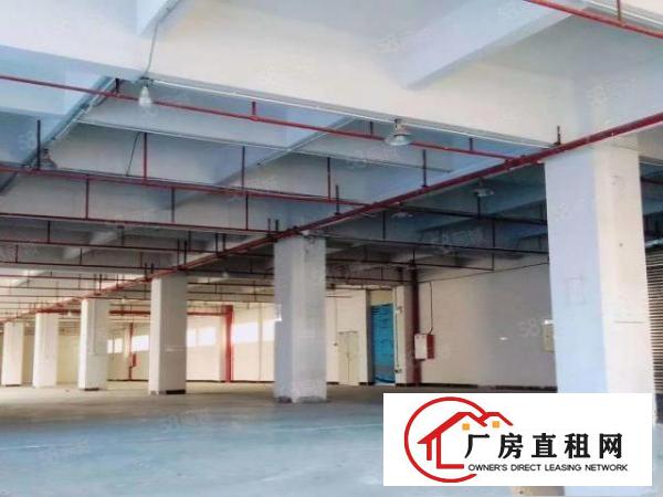  东莞市东坑镇原房东高新产业园出租楼上现成精装修办公室厂房出租
