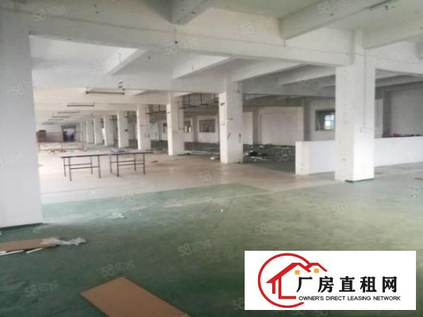  东莞东坑原房东独院厂房3600平方出租没公摊