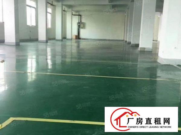  带办公室，地坪漆，厂房出租，水电齐全，两吨货梯。