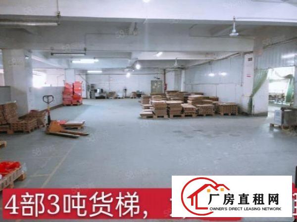  出租东坑彭屋工业区红本厂房2000,2500,3000平