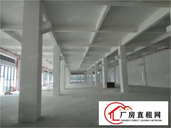  东坑原房东红本独门独院厂房，水电可过户可分租办环评可做VOC