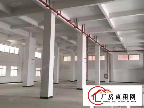  东坑镇东兴工业园新出一楼标准厂房