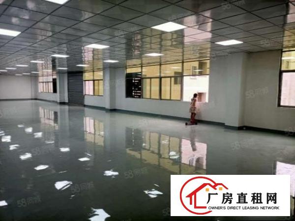  东坑镇成熟工业区新出原房东独院标准厂房8000平，可分租