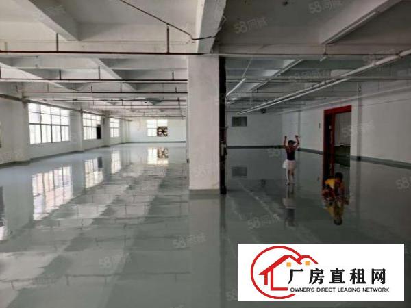  东坑镇成熟工业区新出原房东独院标准厂房8000平，可分租