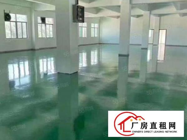  东坑镇成熟工业区新出原房东独院标准厂房8000平，可分租