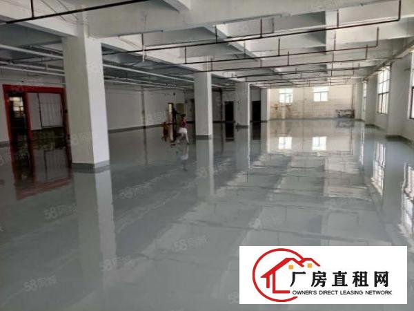  东坑镇成熟工业区新出原房东独院标准厂房8000平，可分租