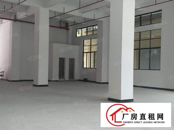  高新科技园标准厂房出租，交通便利，易招工，空地面积大