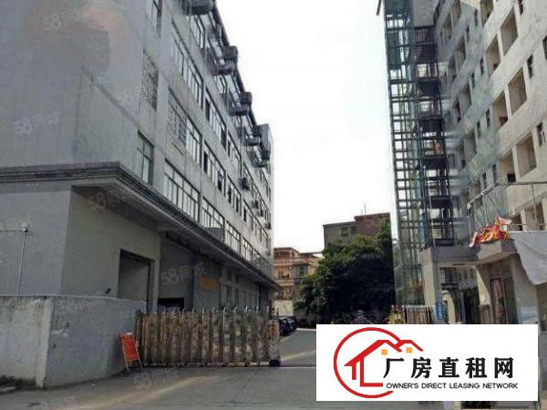  东坑镇角社标准厂房分租一楼1600平方米，带喷淋消防