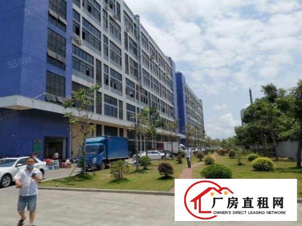  两天必租东坑650平实际面积原房东厂房精装修工业用地