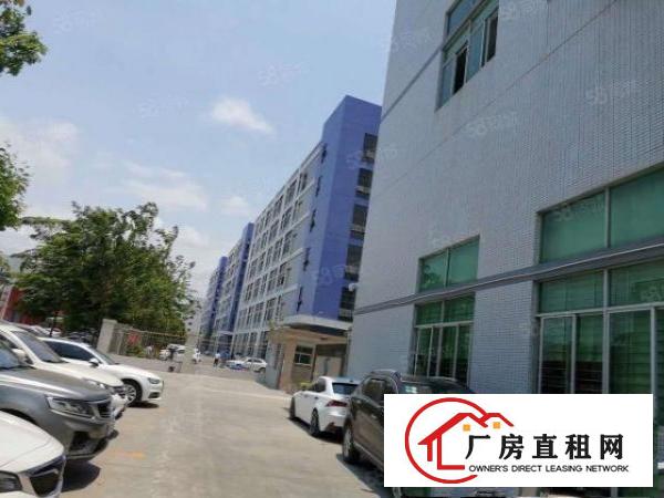  两天必租东坑650平实际面积原房东厂房精装修工业用地