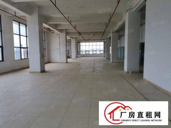  两天必租东坑650平实际面积原房东厂房精装修工业用地