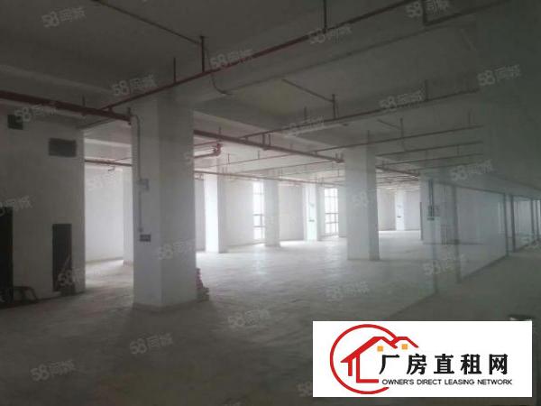  两天必租东坑650平实际面积原房东厂房精装修工业用地