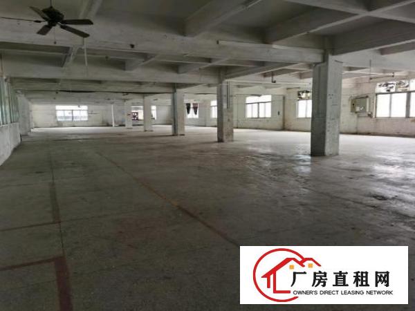  寮步镇原房东独院招租，带红本国土证！