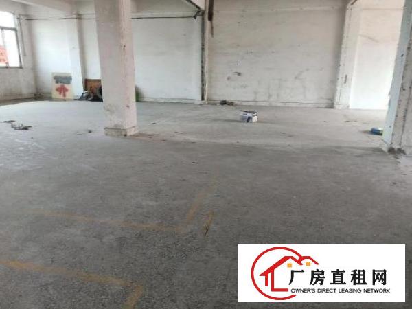  寮步镇石大路钱塘路段厂房210平米