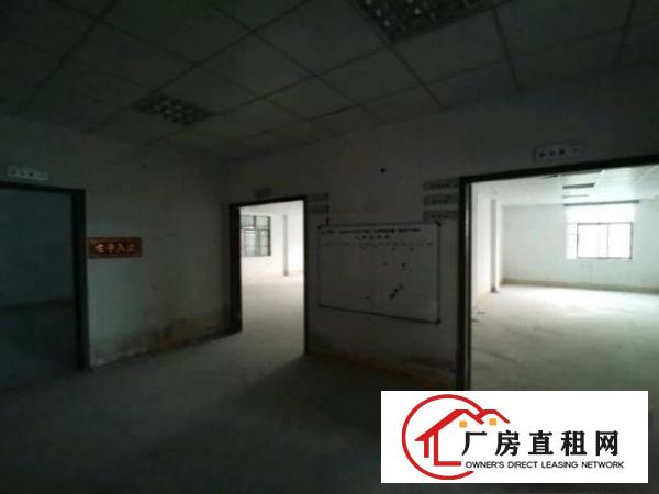  出租寮步缪边松湖智谷附件3层1栋适合小型厂房办公及居住仓库