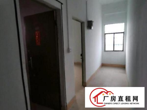  出租寮步缪边松湖智谷附件3层1栋适合小型厂房办公及居住仓库