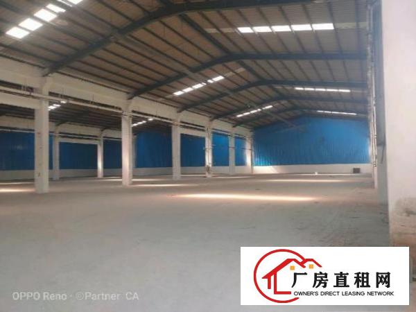  新出3900㎡单一层砖墙到顶可分租1000㎡