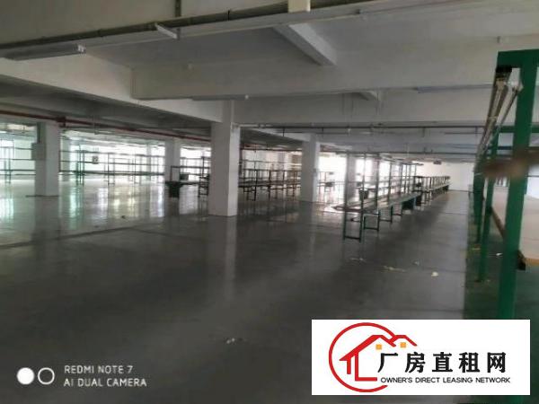  高新园区厂房出租证件齐全可办环评大小可分
