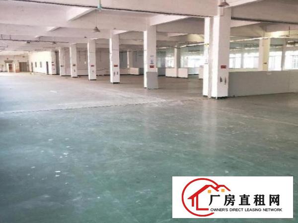  自用厂房分租，低价处理，无管理费