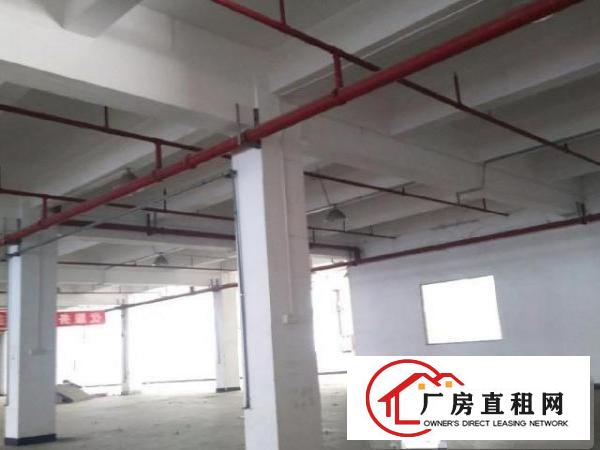  寮步上屯3300平一楼招租可分租园区空地超大交通便利