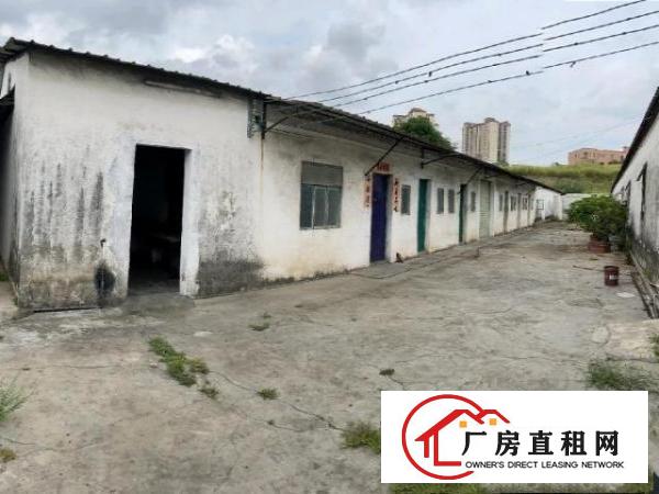  上底村铁皮厂房招租，来实勘！
