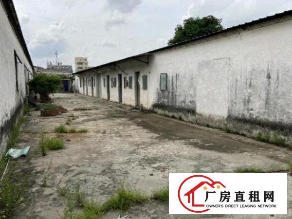  上底村铁皮厂房招租，来实勘！