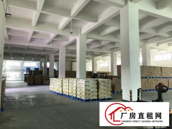  工业聚集地独院新出笋盘工业厂房出租